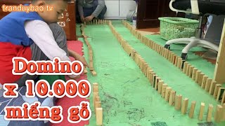 Duy bảo cùng bố xếp DOMINO với 10.000 khúc gỗ