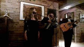 Bohemia Trió interpretando te amare toda la vida