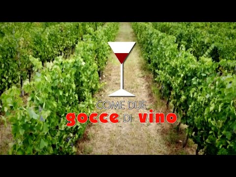 Gocce di Vino 10 - Fattoria di Celle (Pistoia)