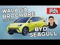 10 THINGS YOU PROBABLY DON T KNOW ABOUT BYD SEAGULL PHILIPPINES