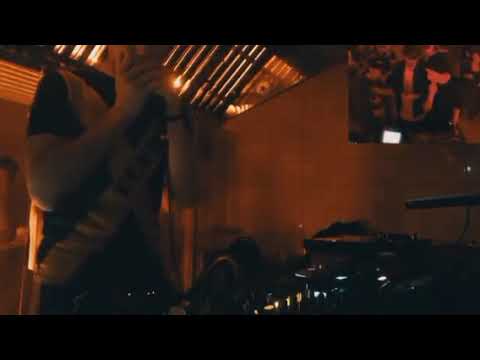 Dubharp - Panda Dub (harmonica cover)