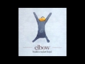 Elbow - The Birds 