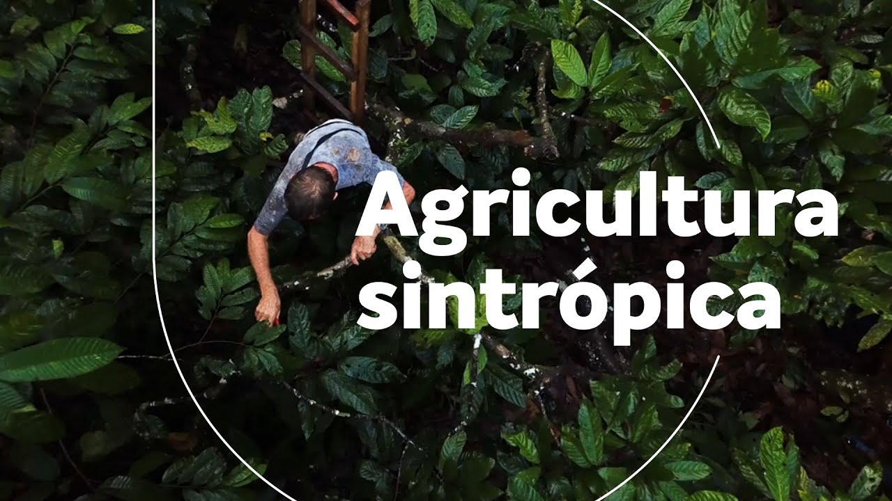 A bluevision de Ernst Götsch