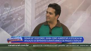 Miniatura do vídeo