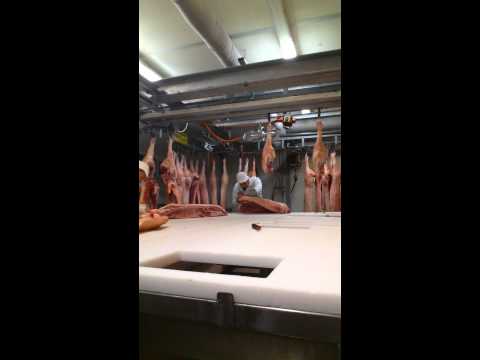 Schweine Zerlegen 2018 Fleisch Germany