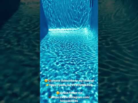 モリトール スイミング プールについて詳しく解説