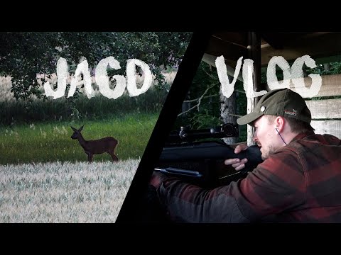 Gemütlicher Abendansitz (Jagen&Kochen) | Jagd Vlog [4k]