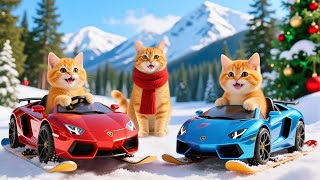 Download lagu Mama Cat Trims Fur on the Farm and Makes Tiger Hat For Kittens At Home🐾🎩🐯 mp3 Download lagu Mama Cat Trims Fur on the Farm and Makes Tiger Hat For Kittens At Home🐾🎩🐯 mp3