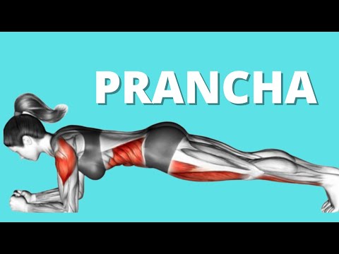 PRANCHA Treino de PRANCHA Rápido[ 5 serie de 30segundos completa de prancha na mesma posição]