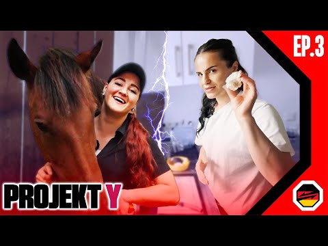 Der Alltag von Laura & Haifa | Kochen, Golfen und Arbeit | Project Y St.2, Ep.3