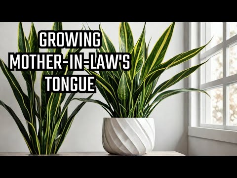The Ultimate Guide to Snake Plants: Varieties, Care, and Propagation