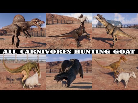 ALL CARNIVORES HUNTING A GOAT | JURASSIC WORLD EVOLUTION 2