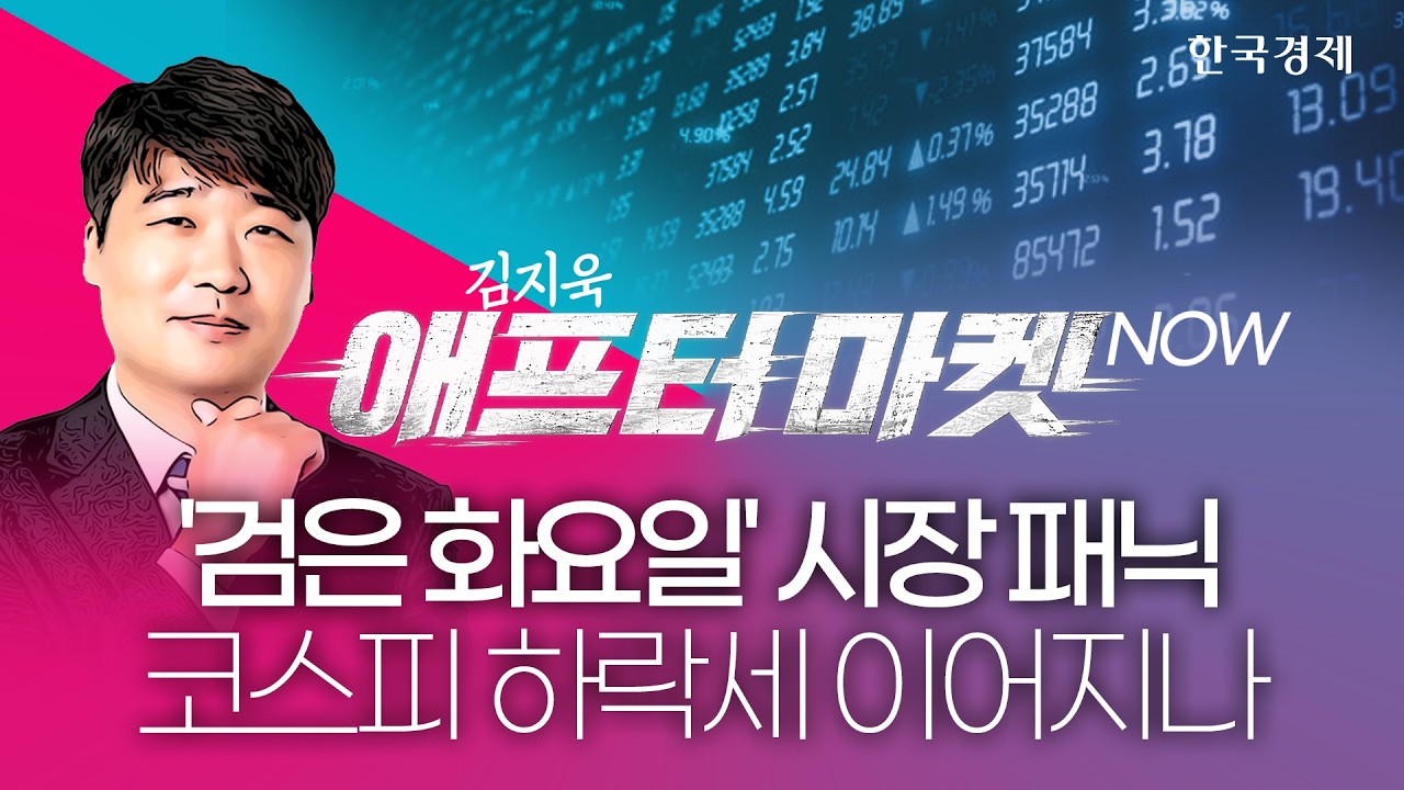 반도체 호황에 달러 쏟아졌다…국내증시 향방은?ㅣ종목쇼: 애프터마켓NOWㅣ261013 #코스피급락 #창신메모리