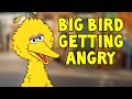 Big Bird Getting Angry Compilation