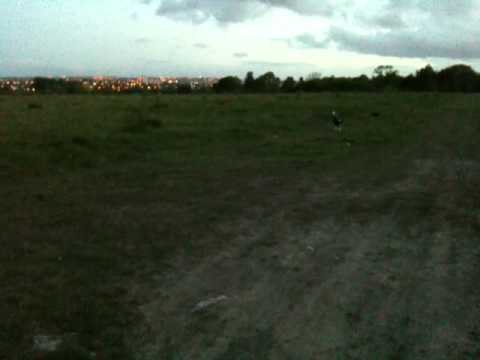 Tyla Skelton. WORST thrower of tennis balls EVER!!!