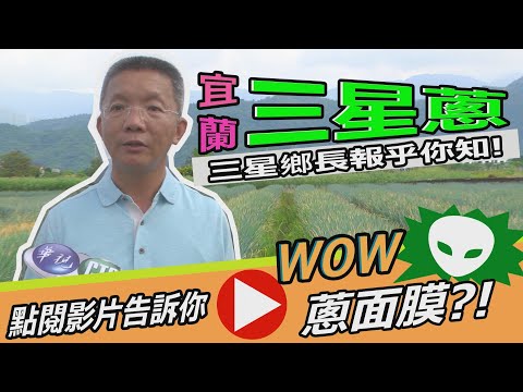 【放4大吃】宜蘭三星鄉的驕傲－三星蔥