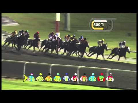 22.11.2012 Meydan (Dubai-UAE) 2.Race Al Dana Visa Infinite Card  1.400 m
