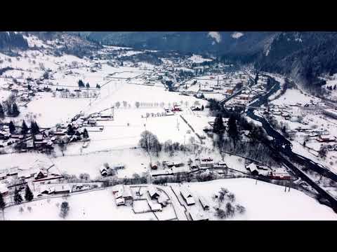 Lunca Bradului - 10-11.01.2026 4K