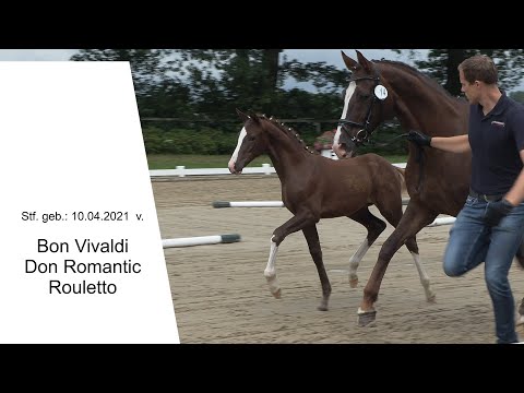 Stf v Bon Vivaldi x Don Romantic x Rouletto 2021