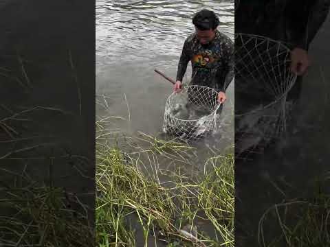 Reel tagged #fish