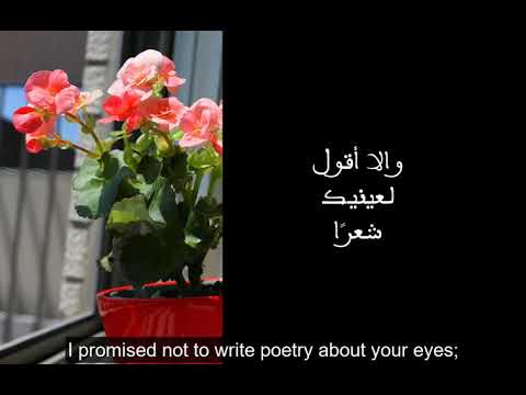 Wa3adtouka (وعدتك) - Majida El Roumi, English Subtitles
