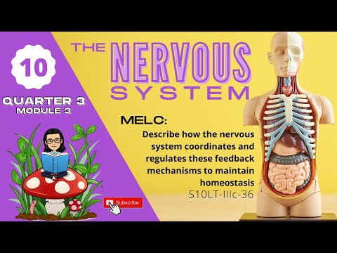 Grade 10 SCIENCE | Quarter 3 Module 3 | The Power and Control of the Nervous System
