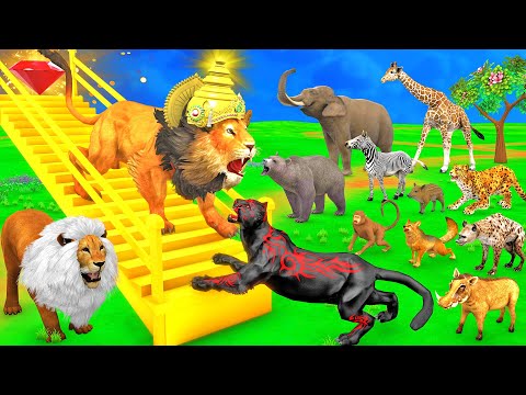 जादुई सीढ़ी और जंगल का राजा शेर Magical Staircase Jungle Ka Raja Sher Aur Kaala Cheetah Moral Story