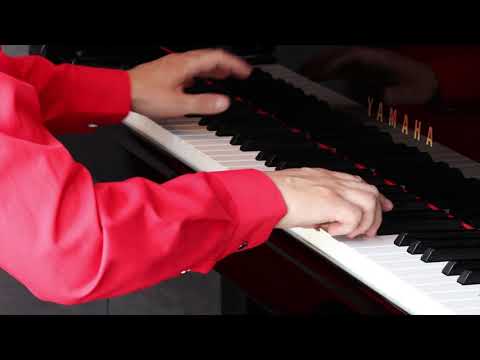 Kreisler/ Vaneyev :Praeludium and Allegro (Erik Cortes, piano)