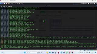 Pentest 2 (Subdomain,Zone Transfer,Reverse Ip Lookup,Web Tech Tesbiti)