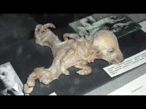 TRABAJO BIOLOGÍA/ MUTACIONES POR RADIACIÓN