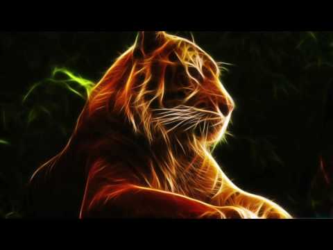 Schtiffles-In The Tigers Den