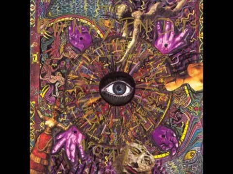 The Collector