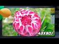 Телевизор Sony KD-55X80J