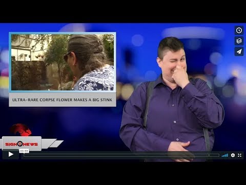 Ultra-rare corpse flower makes a big stink (ASL - 4.23.18)