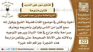 صورة 6490 - حكم زراعة نبات القات  - نور على الدرب