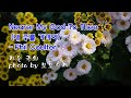가을 국화 & Nearer My God To Thee (내 주를 가까이) / Phil Coulter & photo by 모모수계