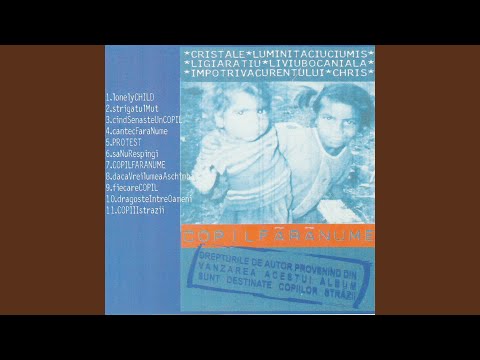 Cantec fara nume (feat. Liviu Bocaniala)