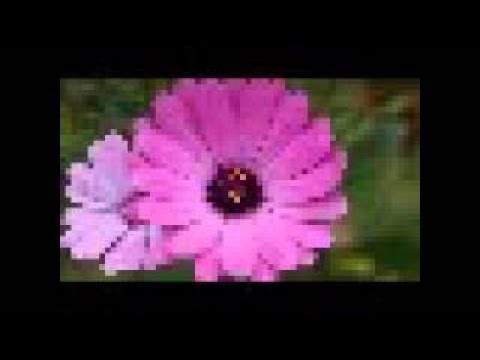 Mission Wissen Weltweit: Unglaublichste Rituale | Galileo | ProSieben