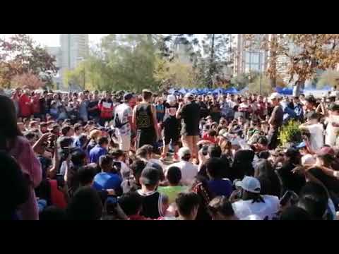 Filtros grira DEM viña