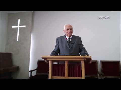 Ko će opstati? - Bogdan Bibulović