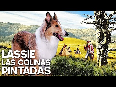 Lassie - Las colinas pintadas | Película de Navidad | La familia | Español | Viejo Oeste