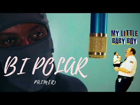 PALMER1 - BI POLAR (OFFICIAL VISUALIZER)