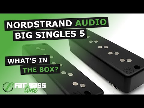 Nordstrand Big Single 5 Bass Pickup Set: What’s In The Box (A Close-Up Look)
