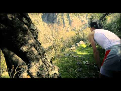 Salomon SPEEDCROSS 3 W 