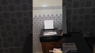 Malika reine de création setif/ transfert d image sur textile