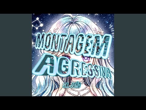 MONTAGEM AGRESSIVA 2 (slowed)