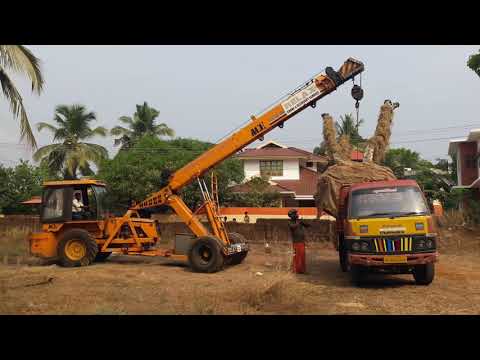 Tree transplantation / Tree Transplanting / Tree relocation in Kerala India