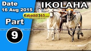 (1) Ikolaha (Khanna) Ox Race 16 Aug 2015