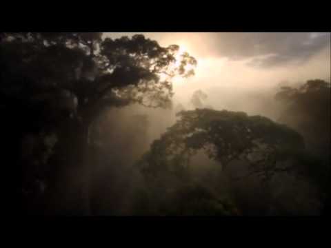 Giuseppe Ottaviani No More Alone (Ft. Stephen Pickup) (HD)