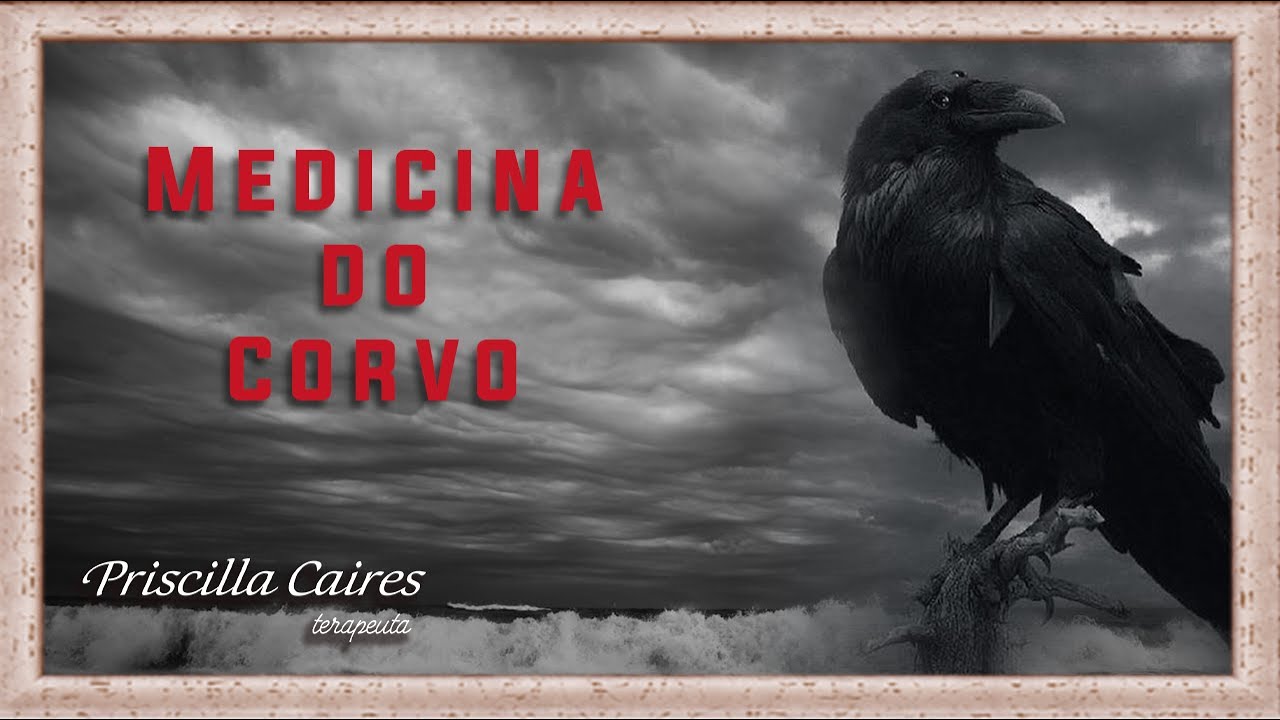 Medicina e meditação do arquétipo animal de poder Corvo